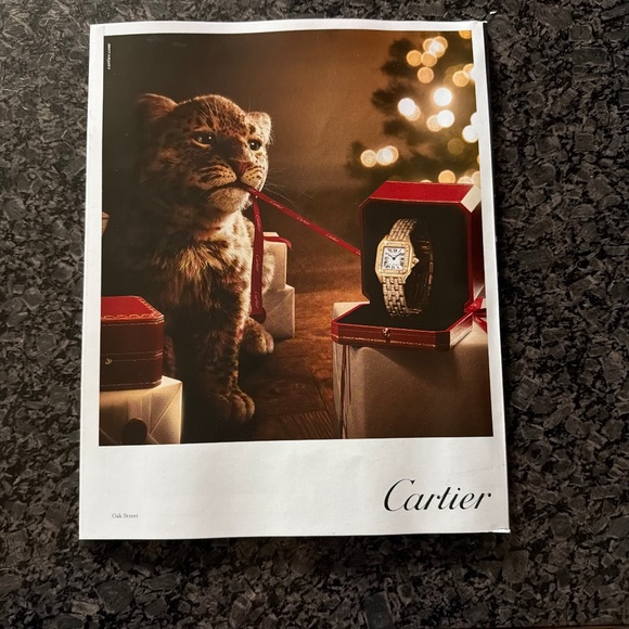 SMASHING PUMPKINS BILLY CORGAN MELLON COLLIE LYRIC OPERA OF CHICAGO PROGRAM 2025 - Picture 6 of 6